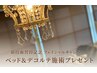 【期間限定】ベッド&デコルテ施術プレゼント♪