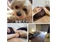 802はちまるにの写真
