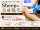 シープ(Sheep)の写真