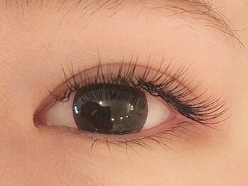 ノア(Noah)/ナチュラルデザイン