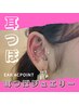 【話題沸騰】耳つぼジュエリー(片耳5粒ずつ、計10粒)