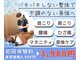 アクイラ せんげん台(AQUILA)の写真