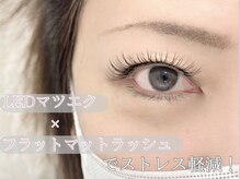 アイラッシュサロン ウインクル(Eyelash Salon Winkle)/LEDマツエク