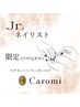 【Jr.ネイリスト】HAND マグネット/ミラー/オーロラ ワンカラー 他店オフ無料