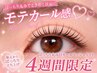 [4週間以内]ぱっちり丸みDカールラッシュリフト4300円
