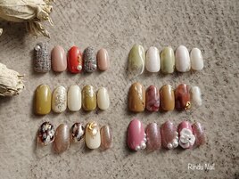 11月 定額トレンド系