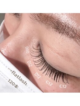 エステラ(ESTELA)/フラットラッシュ120本