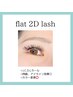綺麗と言われる♪flat2D lash120束☆