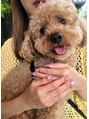 ポウティーク(Pawtique)&nbsp;看板犬のロア店長です♪