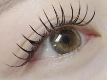 プリュムアイラッシュ(plume eyelash)