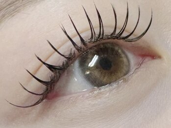プリュムアイラッシュ(plume eyelash)の写真/【女性専用・完全予約制】ふんわり軽いのにボリューム満点◎バインドロック100束 クーポンあり★