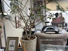 ネイルサロン スクール ビュートバタフライ 相模大野店(BEAUT BUTTERFLY)