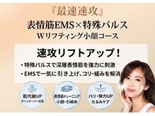サロン ド ミコ(Salon de Mico)/Wリフトアップ小顔コース