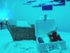 ウミノネ(uminone)の写真