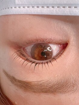 テラスヘア 仙台 青葉区 広瀬通(TERRACE)/アイラッシュリフト！