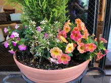 東神奈川整体院 バランス ケア カイロプラクティック(Balance Care)/外観