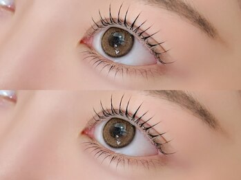 ソファー 八王子(sofa)/まつ毛カール【八王子】