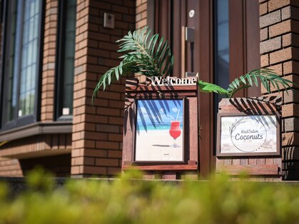 ココナッツ(Coconuts)の写真