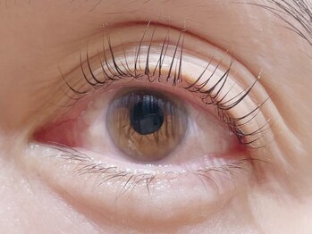 カラン 焼津店(CALIN)/ラスティングカール