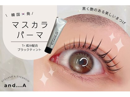 アンドエー(and...A)の写真