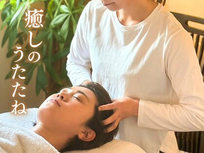 トイ(Toi)の写真