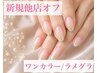 【新規ハンド】ワンカラー/ラメグラデーション(他店オフ)¥4300