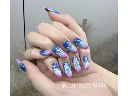 ブルーバードネイル(Blue bird nail)の写真