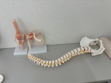 ビオ接骨院 小牧院/小顔矯正/骨盤矯正/コルギ/首