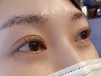 エフ(F...)/まつげパーマ