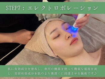 銀座ナチュラル スタイル (Natural Style)/STEP7:エレクトロポレーション