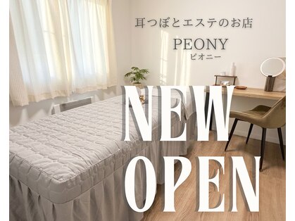 ピオニー(peony)の写真