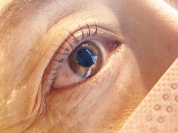 マイアイラッシュ(Mai eyelash)/アミノ酸まつ毛パーマ