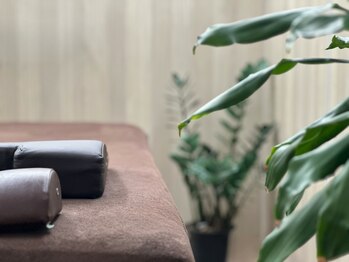 鍼灸ひなた治療院/施術ベッド