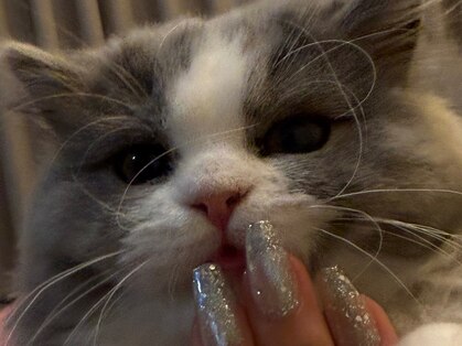 nail studio Hau'oli《フィルイン/本場韓国ジェル/マグネットジェル/長さ出し》の写真