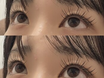 リトル(Little)/フラットラッシュ140本