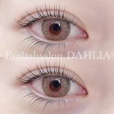ダリア(DAHLIA)