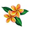 プルメリア(Plumeria)のお店ロゴ