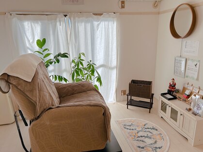 ジャミー(Jammy)の写真