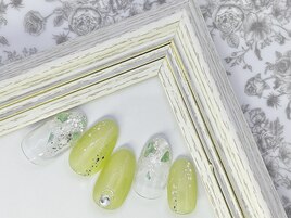定額Bコース