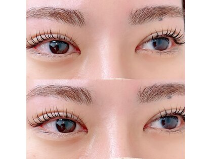 ティーラッシュ(T-lash)の写真