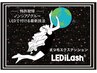 LEDiLash  60本　アイシャンプーつき　フラット 土日祝&17時以降は+500円増し