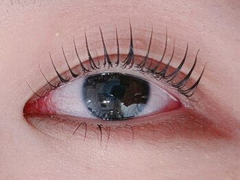 ココ(COCO)/まつ毛パーマ