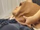 イチ(ICHI)の写真/すぐ戻る肩こりは卒業。全身の繋がりから首・肩を根本的に整える120分調律