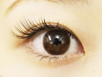 レディア 所沢店(Ladia)の写真/【初回オフ込！フラットラッシュ】100本￥5480◆120本￥6300◆140本￥6900◆【パリジェンヌ】¥5480◆