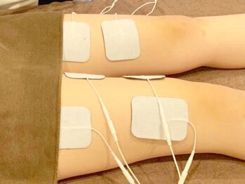 ローズハニー 小田原店/ＩＭＳ(筋肉運動)