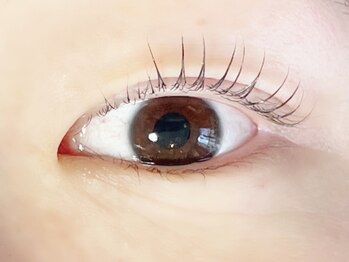 シルドラパン(cils de Lapin)/ラッシュリフトカール