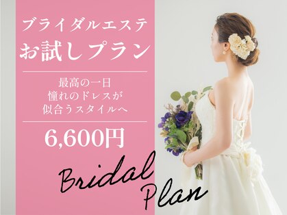 ジャスミン(Jasmine)の写真