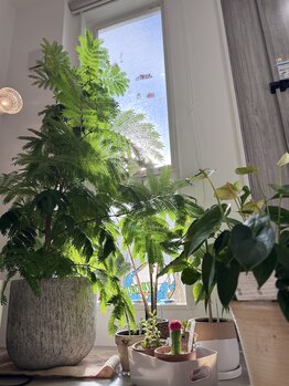 ムー(Mou)/冬なのに、常夏☆