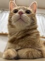 シュエット(Chouette) 我が家のアイドル♪人懐っこくて犬・・・?のようです。笑