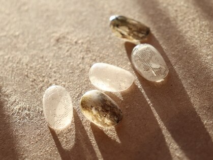 コルザ(Colza.)の写真